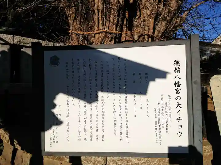 鶴嶺八幡宮の自然