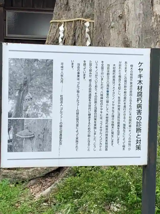 八枝神社(埼玉県)