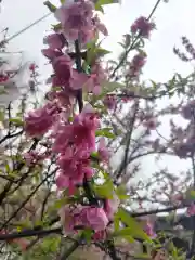 素盞雄神社の自然