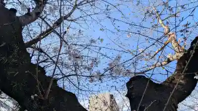 名古屋東照宮の{uncategorized: "未分類", other: "その他", undefined: "問題あり", building: "その他建物", grave: "お墓", sacred_gate: "鳥居", guardian: "狛犬", statue: "像", buddha: "仏像", history: "歴史", nature: "自然", garden: "庭園", animal: "動物", pagoda: "塔", temizu: "手水舎", mountain_gate: "山門・神門", sanctuary: "本殿・本堂", subordinate: "末社・摂社", art: "芸術", scenery: "景色", jizo: "地蔵", ema: "絵馬", goshuin: "御朱印", omikuji: "おみくじ", items: "授与品その他", amulet: "お守り", goshuincho: "御朱印帳", eats: "食事", festival: "お祭り", votive_dance: "神楽", shichigosan: "七五三参", wedding: "結婚式", experience: "体験その他", initially: "初詣", around: "周辺", anti_infection: "感染症対策"}