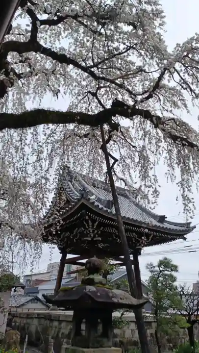 円明寺の{uncategorized: "未分類", other: "その他", undefined: "問題あり", building: "その他建物", grave: "お墓", sacred_gate: "鳥居", guardian: "狛犬", statue: "像", buddha: "仏像", history: "歴史", nature: "自然", garden: "庭園", animal: "動物", pagoda: "塔", temizu: "手水舎", mountain_gate: "山門・神門", sanctuary: "本殿・本堂", subordinate: "末社・摂社", art: "芸術", scenery: "景色", jizo: "地蔵", ema: "絵馬", goshuin: "御朱印", omikuji: "おみくじ", items: "授与品その他", amulet: "お守り", goshuincho: "御朱印帳", eats: "食事", festival: "お祭り", votive_dance: "神楽", shichigosan: "七五三参", wedding: "結婚式", experience: "体験その他", initially: "初詣", around: "周辺", anti_infection: "感染症対策"}