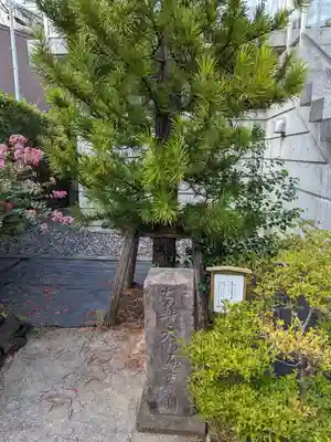 根生院(東京都)