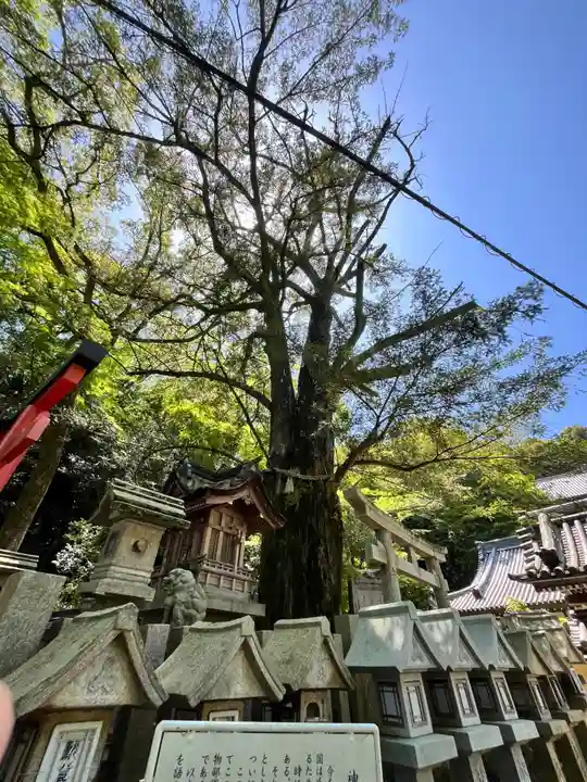 朝護孫子寺(奈良県)