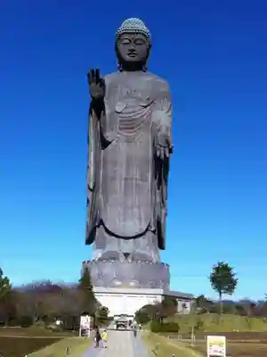 東本願寺本廟 牛久浄苑（牛久大仏）の仏像