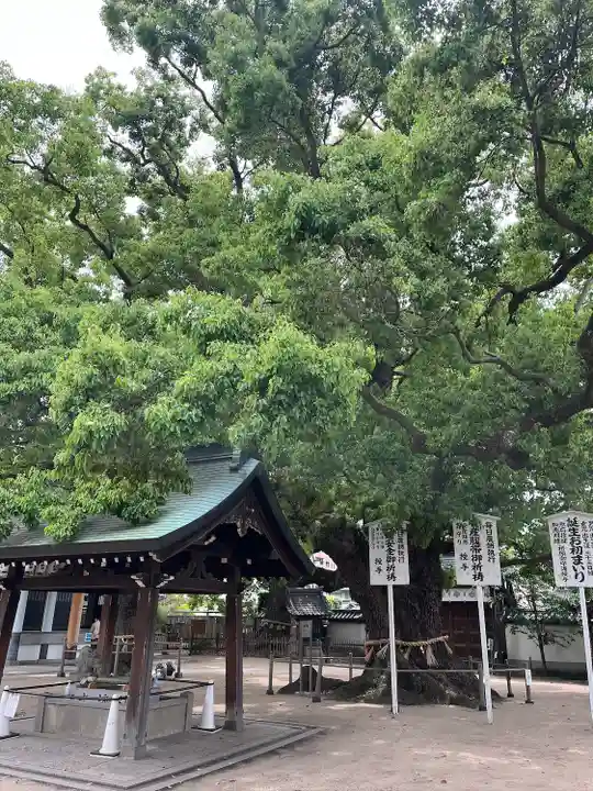 大聖観音寺(あびこ観音)(大阪府)