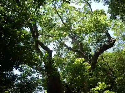 松下社（二見町）の自然