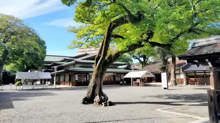 尾張大國霊神社(国府宮)の庭園