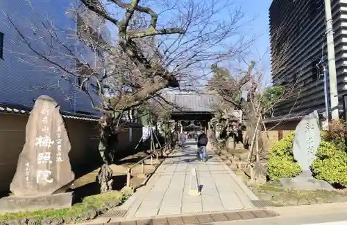 新井薬師（梅照院）(東京都)