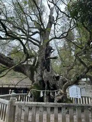 大山祇神社(愛媛県)