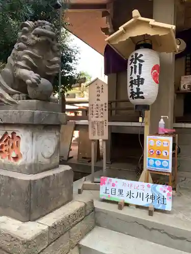 上目黒氷川神社の狛犬