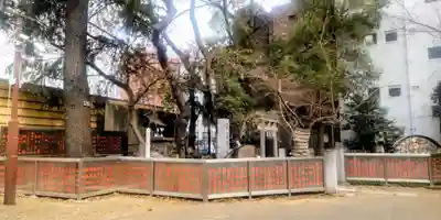 花園神社(東京都)