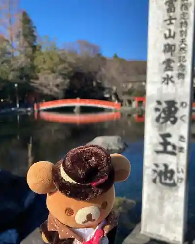 富士山本宮浅間大社(静岡県)