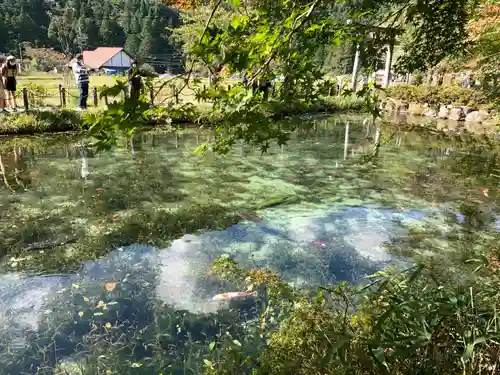 根道神社(岐阜県)