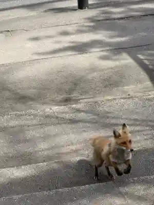 北広島市総鎮守　廣島神社(北海道)