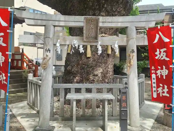 八坂神社の{uncategorized: "未分類", other: "その他", undefined: "問題あり", building: "その他建物", grave: "お墓", sacred_gate: "鳥居", guardian: "狛犬", statue: "像", buddha: "仏像", history: "歴史", nature: "自然", garden: "庭園", animal: "動物", pagoda: "塔", temizu: "手水舎", mountain_gate: "山門・神門", sanctuary: "本殿・本堂", subordinate: "末社・摂社", art: "芸術", scenery: "景色", jizo: "地蔵", ema: "絵馬", goshuin: "御朱印", omikuji: "おみくじ", items: "授与品その他", amulet: "お守り", goshuincho: "御朱印帳", eats: "食事", festival: "お祭り", votive_dance: "神楽", shichigosan: "七五三参", wedding: "結婚式", experience: "体験その他", initially: "初詣", around: "周辺", anti_infection: "感染症対策"}