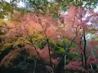 永源寺(滋賀県)