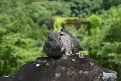 白人神社(徳島県)