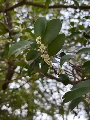 岡部春日神社～👹鬼門よけの🌺花咲く🌺やしろ～(福島県)