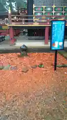 大杉神社の建物その他