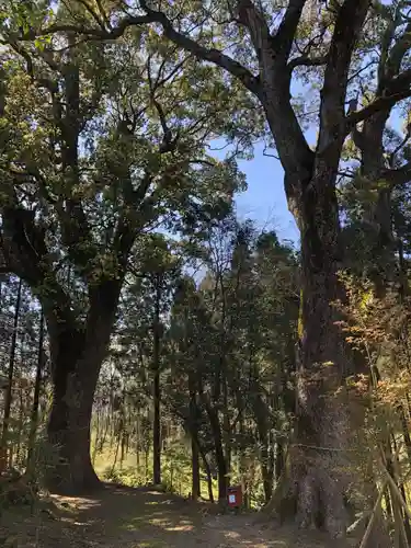 榎原神社の自然