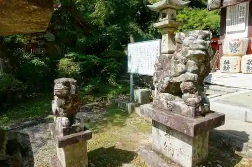 若山神社の狛犬