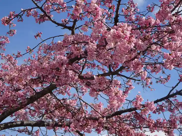 かっぱの寺 栖足寺の自然