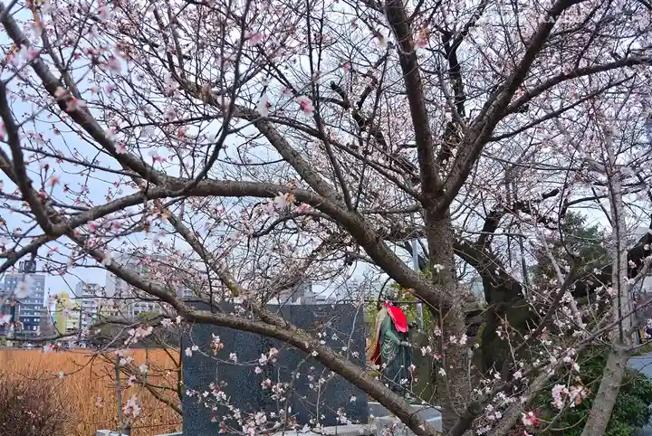 寛永寺不忍池弁天堂の自然