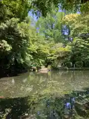 富士山本宮浅間大社(静岡県)