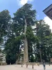 戸隠神社中社(長野県)