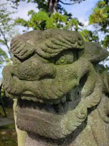 白山神社の狛犬