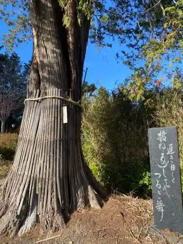 豊景神社(福島県)