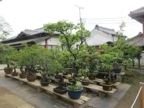 菅原天満宮（菅原神社）の庭園