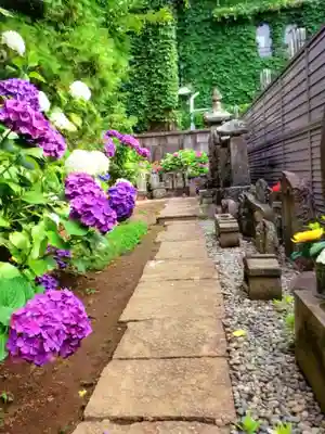 福王山  慈眼寺の自然