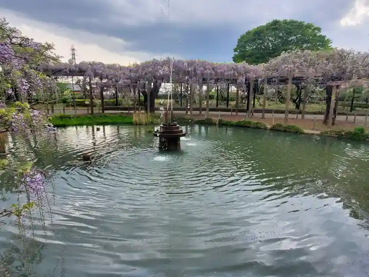 大天白神社(埼玉県)