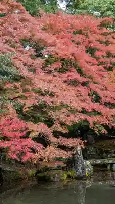 蓮華寺（洛北蓮華寺）(京都府)