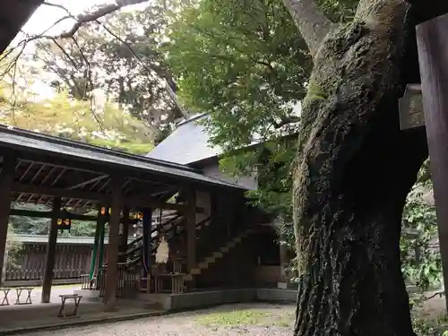 金崎宮の本殿・本堂