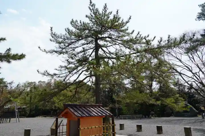 氣比神宮の景色