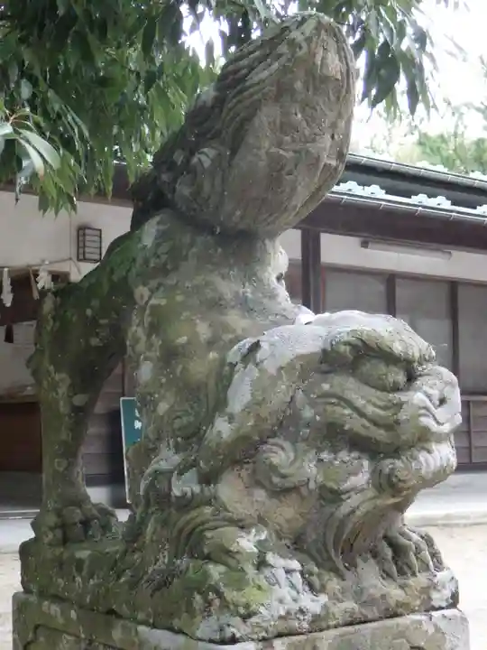 白兎神社の狛犬