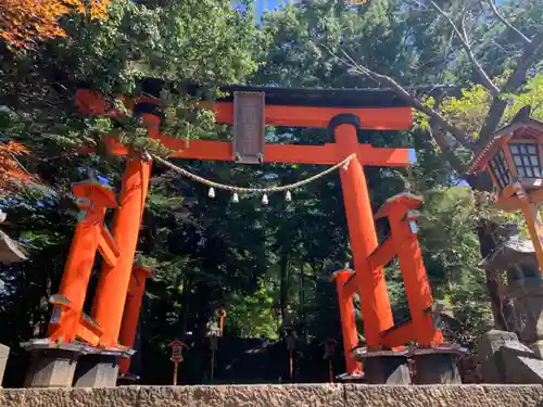 新倉富士浅間神社の鳥居