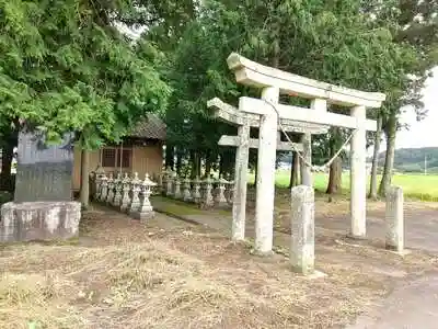 杉本稲荷神社の鳥居