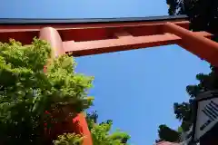 箱根神社(神奈川県)