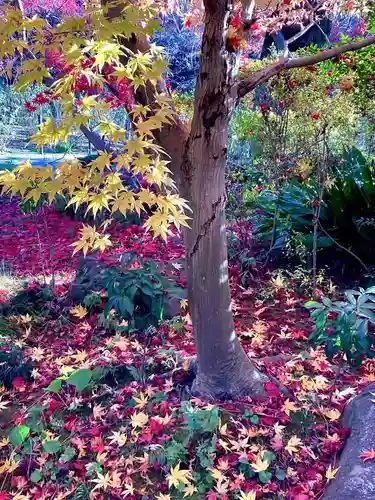 本土寺(千葉県)