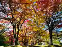 土津神社|こどもと出世の神さまの自然