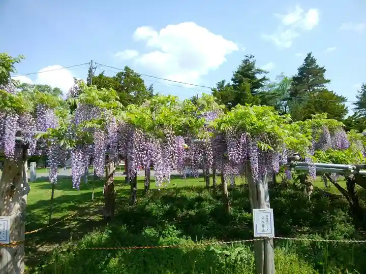 北海道護國神社の庭園