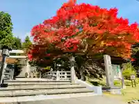 土津神社|こどもと出世の神さまの自然