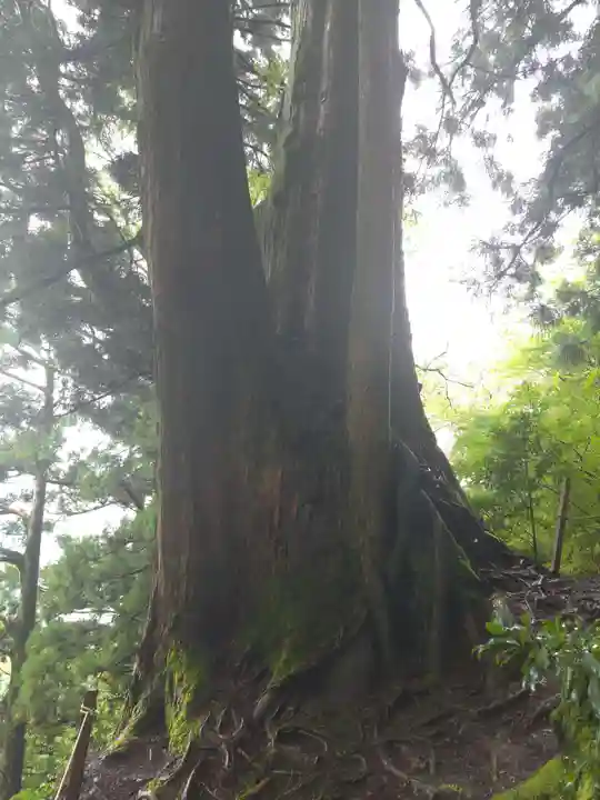 玉置神社の御朱印