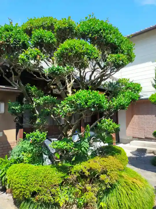 善正寺(奈良県)