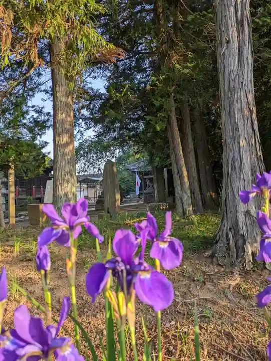 伏木香取神社(茨城県)