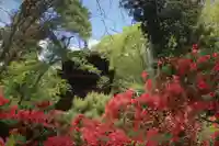 国宝 大法寺の自然