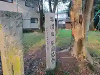 王子神社の{uncategorized: "未分類", other: "その他", undefined: "問題あり", building: "その他建物", grave: "お墓", sacred_gate: "鳥居", guardian: "狛犬", statue: "像", buddha: "仏像", history: "歴史", nature: "自然", garden: "庭園", animal: "動物", pagoda: "塔", temizu: "手水舎", mountain_gate: "山門・神門", sanctuary: "本殿・本堂", subordinate: "末社・摂社", art: "芸術", scenery: "景色", jizo: "地蔵", ema: "絵馬", goshuin: "御朱印", omikuji: "おみくじ", items: "授与品その他", amulet: "お守り", goshuincho: "御朱印帳", eats: "食事", festival: "お祭り", votive_dance: "神楽", shichigosan: "七五三参", wedding: "結婚式", experience: "体験その他", initially: "初詣", around: "周辺", anti_infection: "感染症対策"}